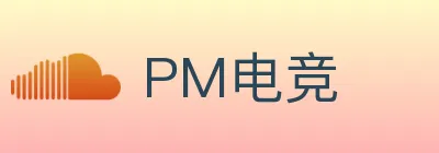 PM电竞 logo